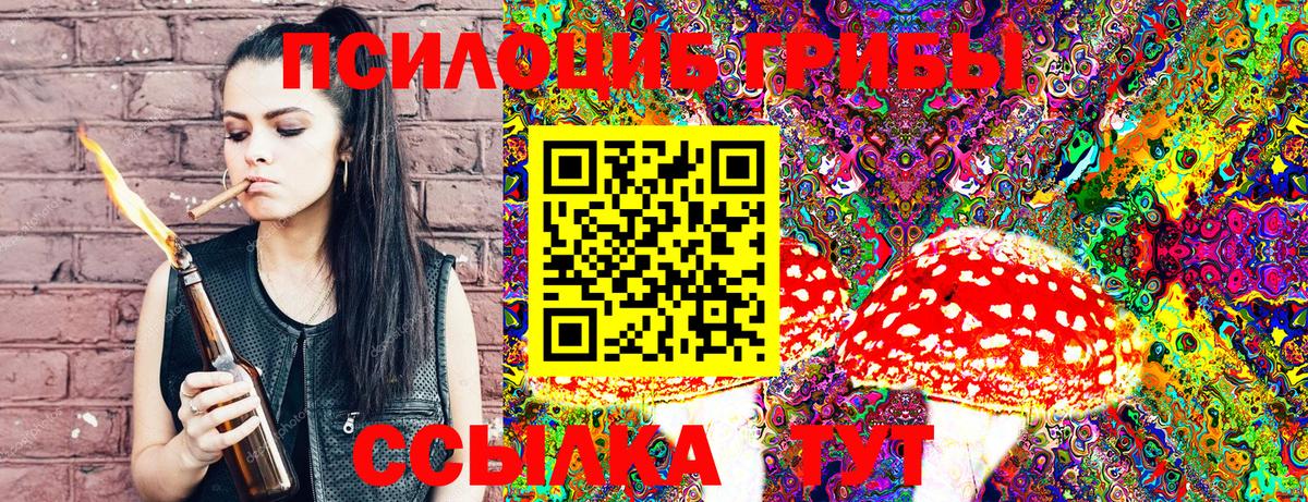 Псилоцибиновые грибы MAGIC MUSHROOMS Глазов